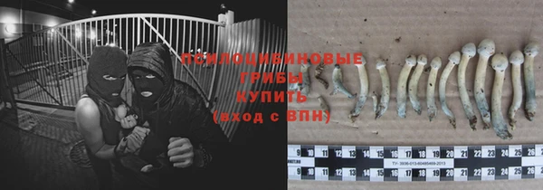 ECSTASY Рославль