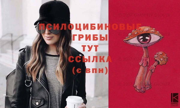 ECSTASY Рославль